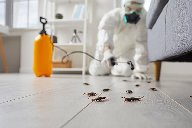 Commercial Kitchen Cockroach Control in Trenton